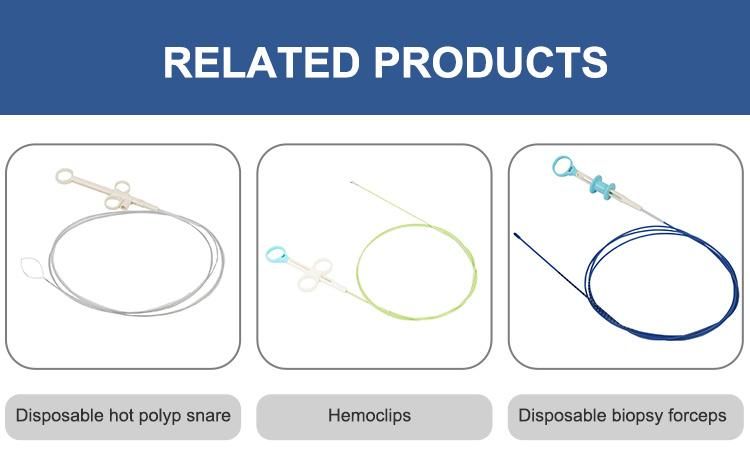 Disposable Gastroenterology Rotatable Control The Head Direction Biopsy Forceps with Oval Jaw Head Coated