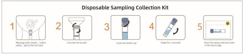 CE/FDA Approved Saliva Collection Kit Sputum Container for DNA/Rna Examination