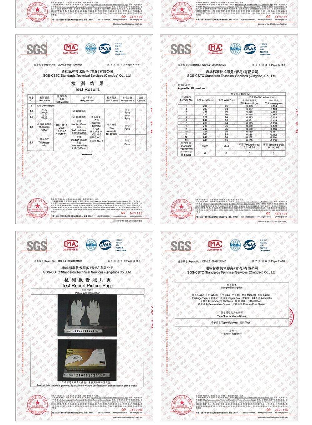 Powder Free Pack of 100PCS Per Box Disposable Latex Examination  Latex White Large Gloves