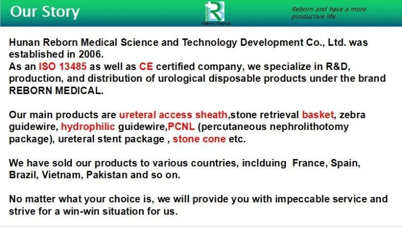 Ureteral Access Sheath Ureter Smooth Hydrophilic Coating with Ce Certificate