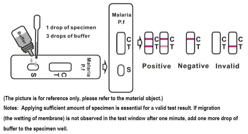 Clungene Rapid Diagnostic Test Kit for HCG, HIV, HCV, Malaria