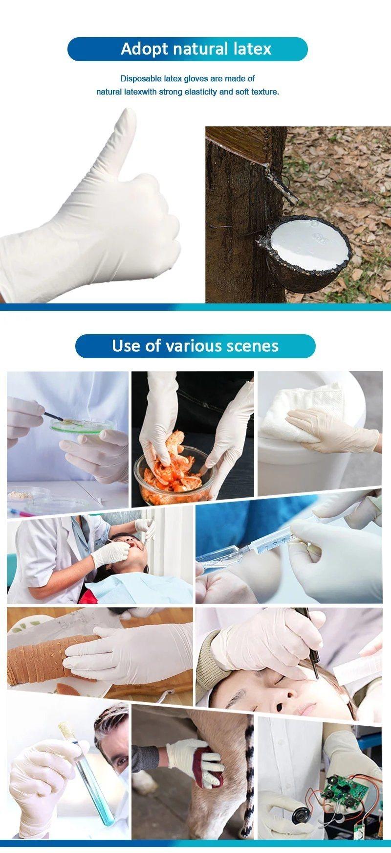 Good Quality Polyisoprene Medical Surgical Gloves