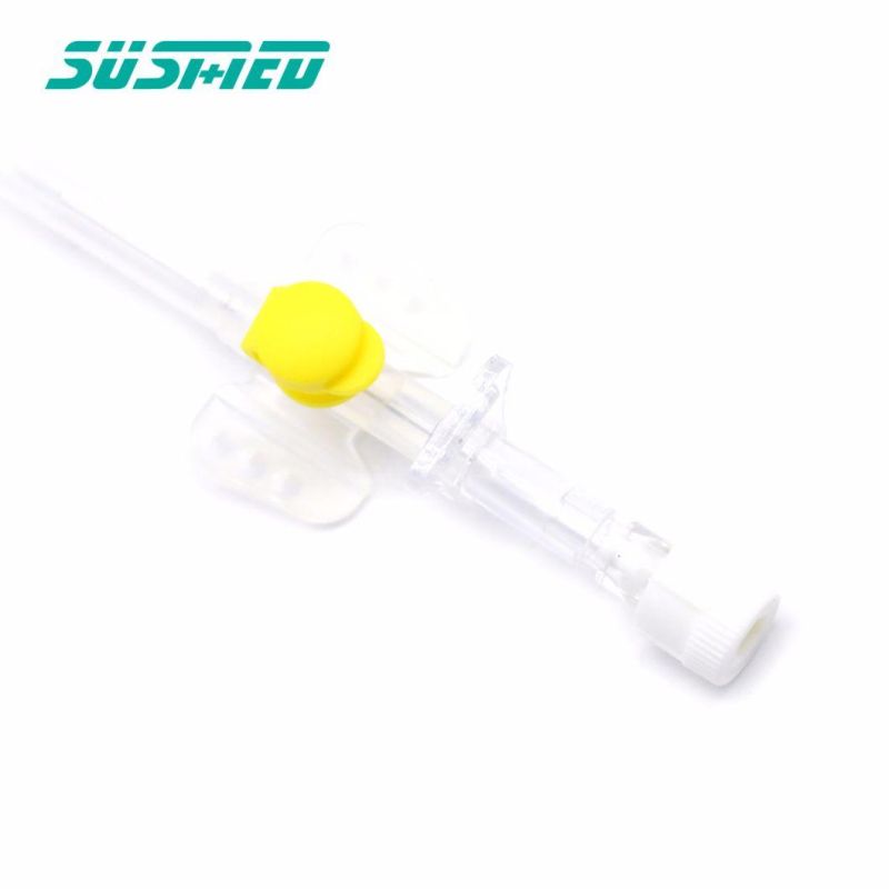 Sterilization Safety Purple IV Cannula with Wing Injection Port