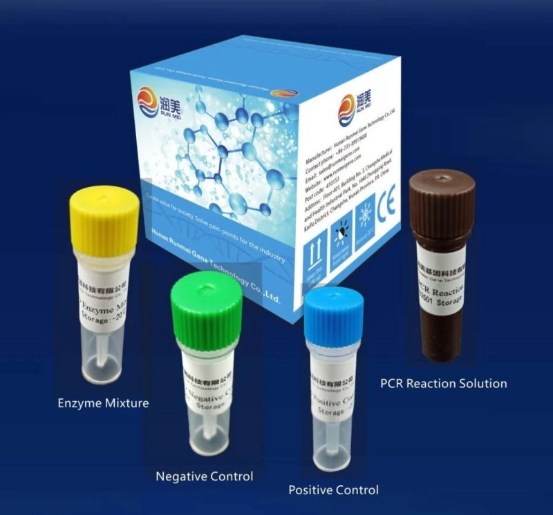 Salmonella Nucleic Acid Detection Pre-Packed Kit (fluorescence PCR method)