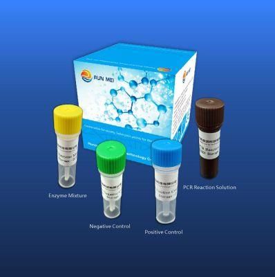 Avian Influenza Virus H5 Subtype Nucleic Acid Detection Kit (fluorescence PCR method)