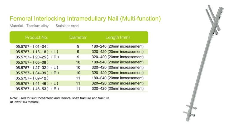 Custermized Product Femoral Interlocking Intramedullary Nail (Multi-function) Orthopedic Implant