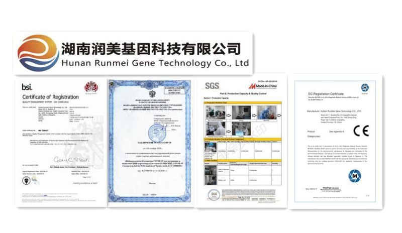 Medical Disposable Specimen Collection Sterile Nylon Flocked Nasopharyngeal Swab Throat Oral Nasal Swab