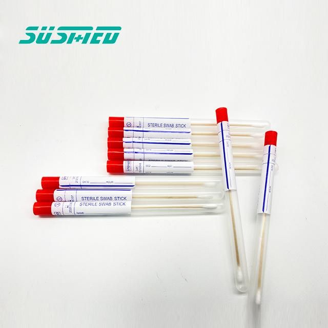 Collection Swab Wooden Stick Analysis Sampling Swab Cotton Swab Stick