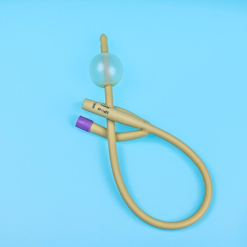 CE & ISO Approved 100% Full Silicone Foley Catheters 2 Three Way Drainage Catheter