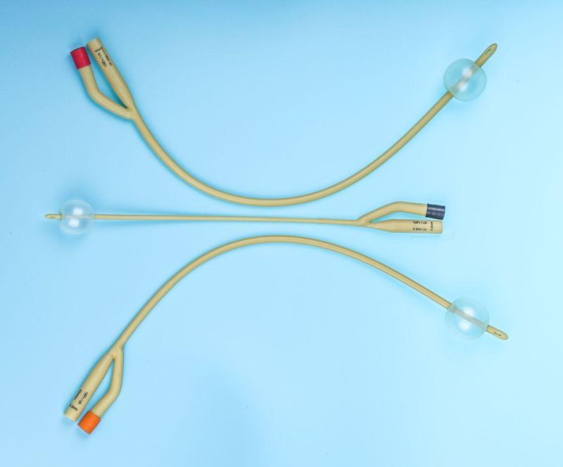 Medical Disposable Latex/PVC Urethral Catheter Foley Catheter Urethral Probe with Manufacturer Price