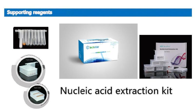 Techstar Magnetic Beads Method Viral DNA / Rna Nucleic Acid Extraction Reagent Kits for Real Time PCR Detection with CE