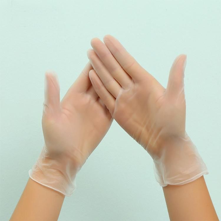 Disposable Vinyl Powdered and Powder Free PVC Glove