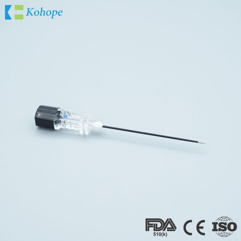Disposable Anesthesia Spinal Needle Quincke/Pencil Point/Introducer, Epidural/Spinal Anesthesia, Lumbar Puncture, for Medical Use