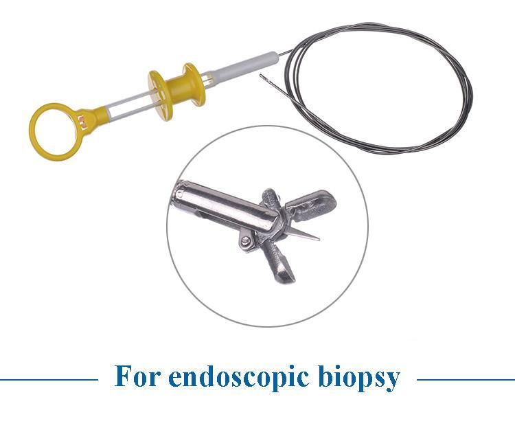 Biopsy Forceps Complete Detachable Handle Stainless Steel for Cervix