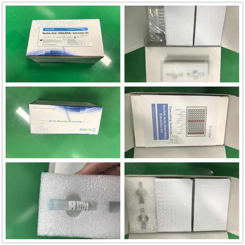 Techstar Nucleic Acid Detection Kit Reagent Extraction Detection Test Kit Magnetic Bead