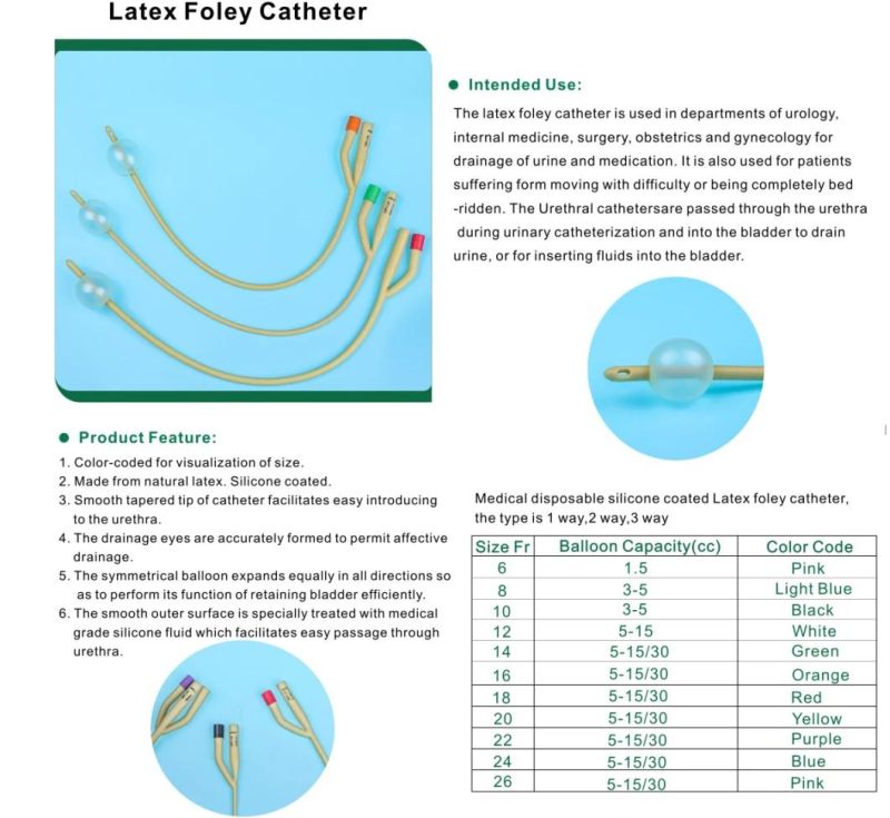 Medical Instrument Sizes Fr6 to Fr24 Two Three Way Silicone Balloon Urinary Foley Catheter