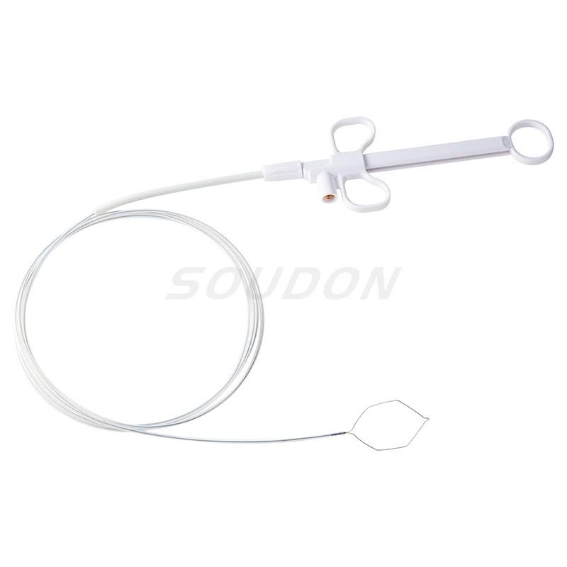 Rotatable Disposable Hot Polypectomy Snare Hexagonal Shape for Endoscopy Use Factory Wholesale