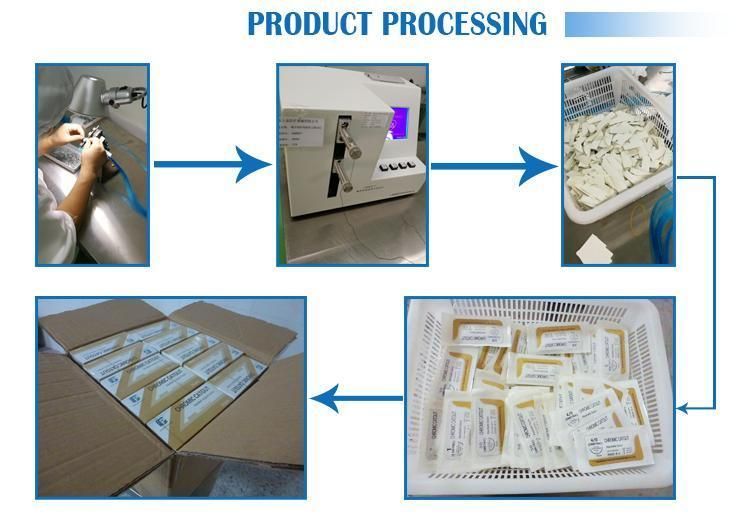 Medical Consumble-Absorbable Surgical Suture with Needle-CE&ISO-Factory Price