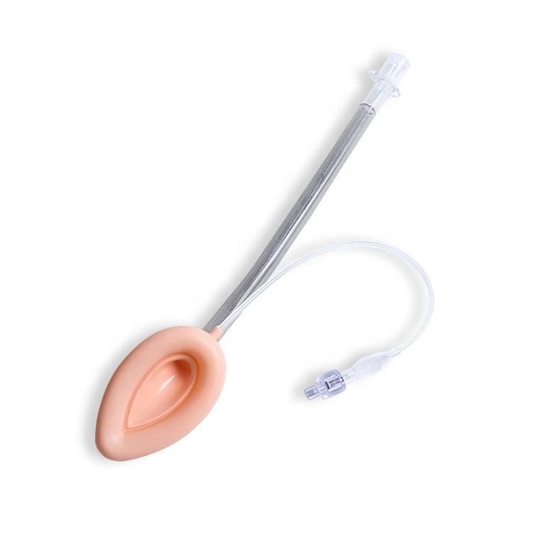 Various Types Single Use Laryngeal Mask Airway Laryngeal