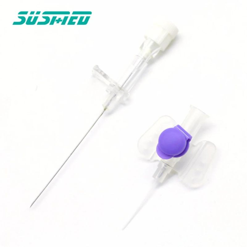 Medical Different Sizes and Color IV Cannula with Injection Port