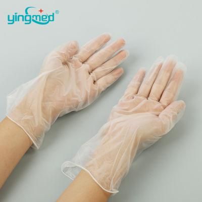 Disposable Clear Vinyl/PVC Gloves Powdered/No Powder Beauty Food Gloves