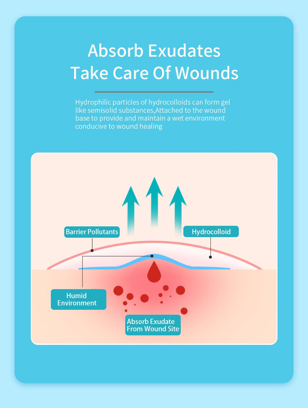 Hydrocolloid Dressing Impermeable to Bacterial Wound