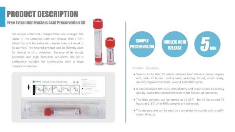 Free Extraction Nucleic Acid Preservation Kit Equipment One Step Rapid Antigen Igg Igm Test Kit PCR Rapid Test Kits