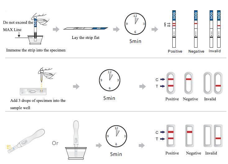 HCG One-Time Test 40 Sets of Sheep Test Paper Only Used for Vrtro Detection and Judgment