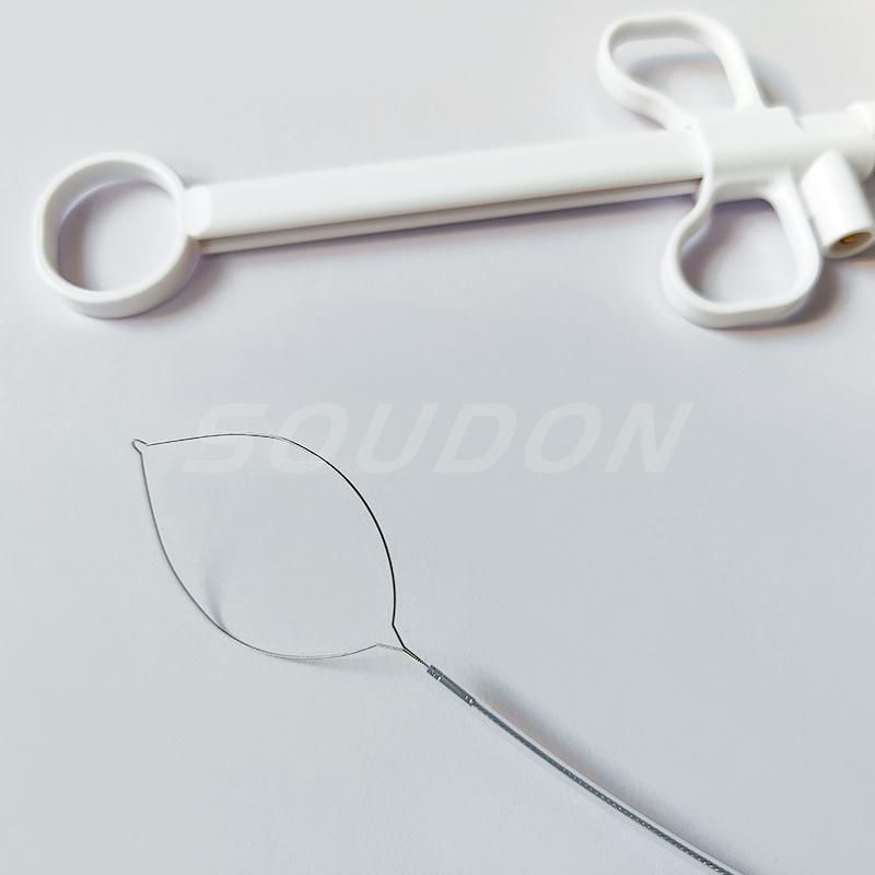 Endoscopic Consumables CE Certified Disposable Polypectomy Snare for Gastroenterology