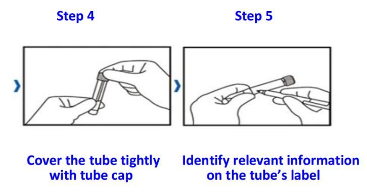 Medical Swab with Tube Nylon Flocked for Virtal Test