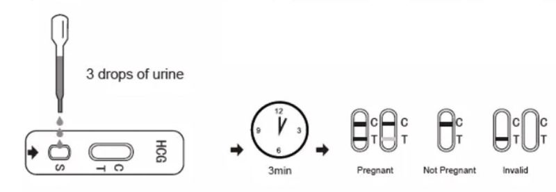 Pregnancy Rapid Test in Urine for Pregnancy Testing (HCG Cassette)