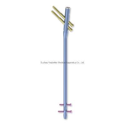 Custermized Product Femoral Interlocking Intramedullary Nail (Multi-function) Orthopedic Implant