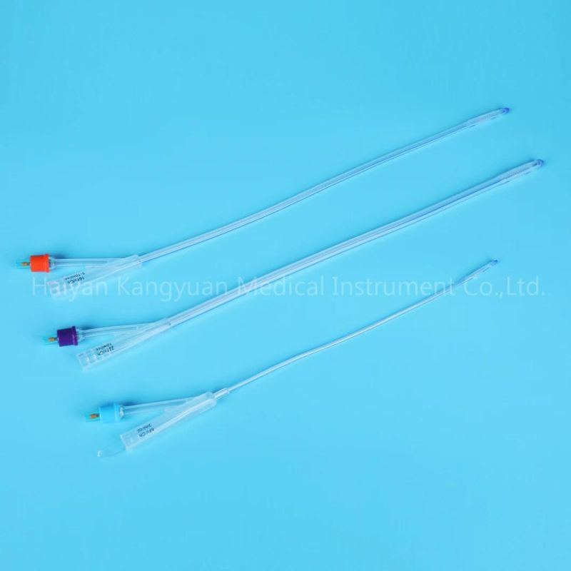 2 Way Standard Silicone Foley Catheter for Single Use China Factory Round Tip with Normal Balloon