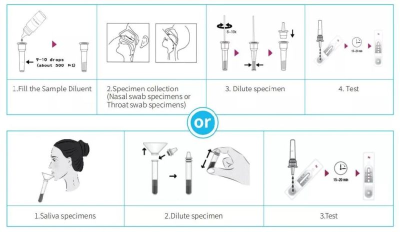 Rapid High Accuracy Influenza a/B Antigen Detection Diagnostic Test Kit