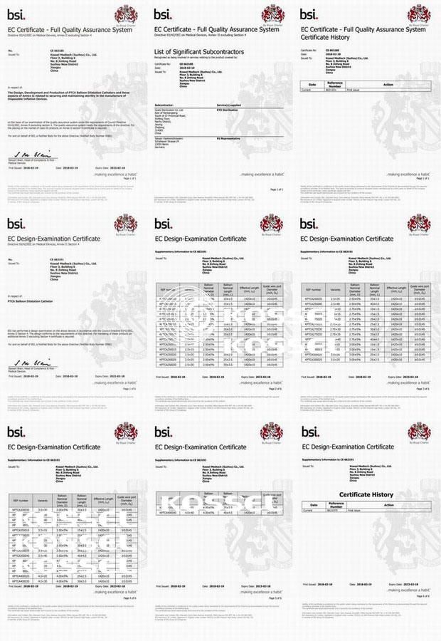 Balloon Angioplasty Ptca Balloon Dilatation Catheter with CE ISO Certificate