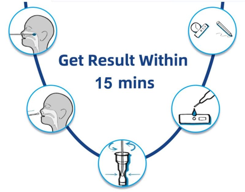 Excellent Antigen Saliva Rapid Test Self -Test at Home Without PCR Test Kits