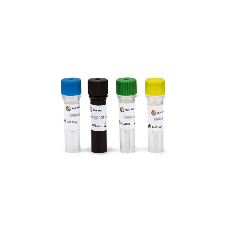 Direct Manufacturer of Nucleic Acid Detection Kit (Real-time RT-PCR Method)