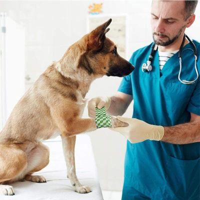 Patterned Coflex Nonwoven Colored Printed Cohesive Bandage for Vet Pet Chain Hospital