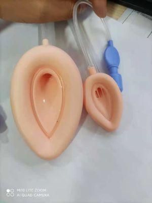 High Quality Preformed Laryngeal Mask Airway Fabrication