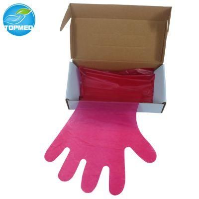 Disposable Transparent PE Gloves HDPE/LDPE Gloves Household Gloves