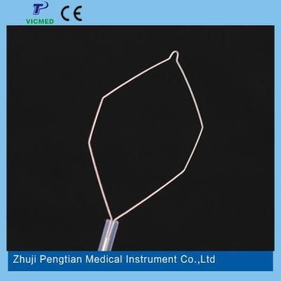 Disposable Polypectomy Snare Hexagonal Shape