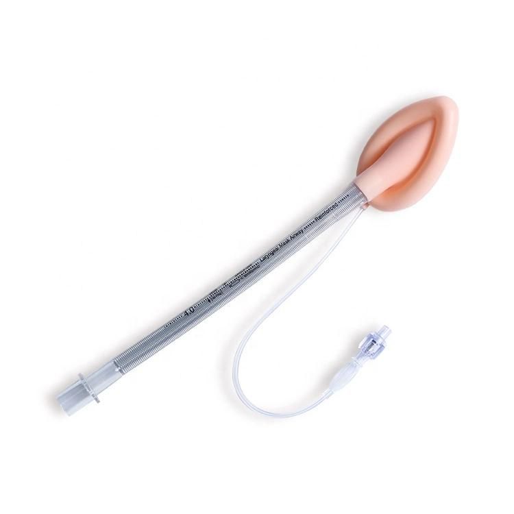 Various Types Single Use Laryngeal Mask Airway Laryngeal