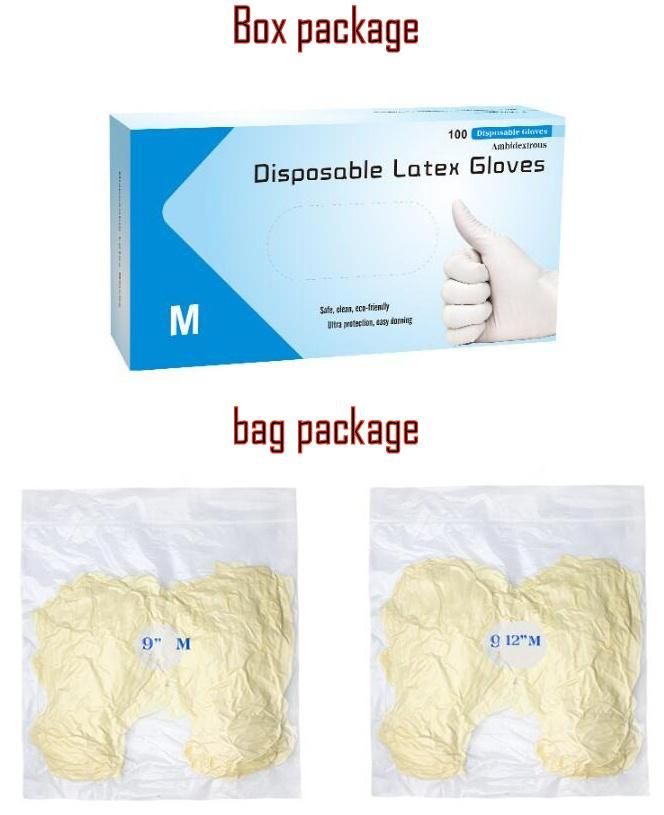 Latex Gloves Size -Medium and Large Latex Gloves, Disposable Latex Gloves Latex Gloves Latex Medical Gloves, with The Length 12" & Length 9"