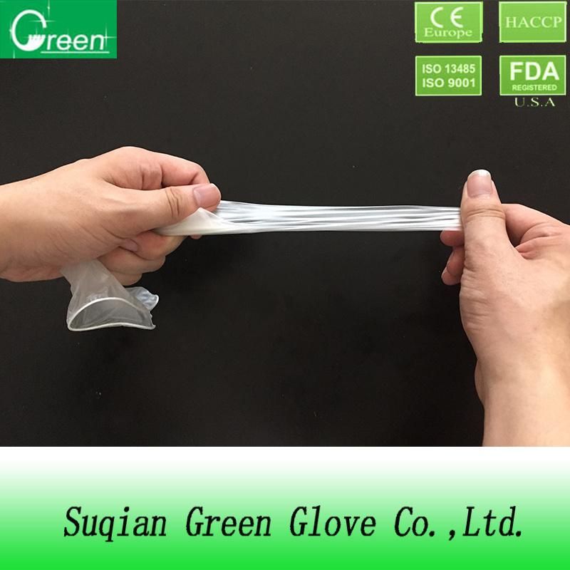 Clear Powder/Powder Free Disposable Vinyl Gloves (ISO