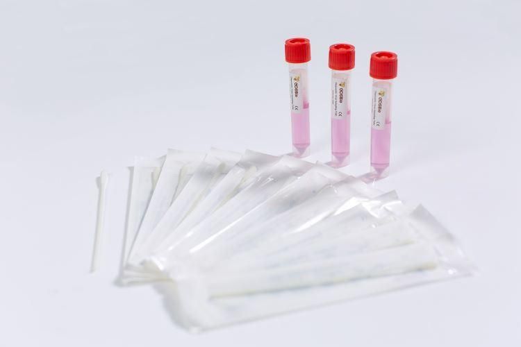 10 in 1 Inactivated Disposable Sampling Tube Virus Transport Medium Vtm