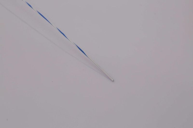 Urology Zebra Hydrophilic Guide Wire with CE Straight Tip Guidewires