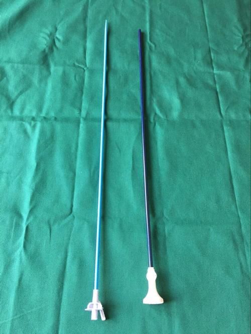 Ureter Surgical Ureteral Access Sheath