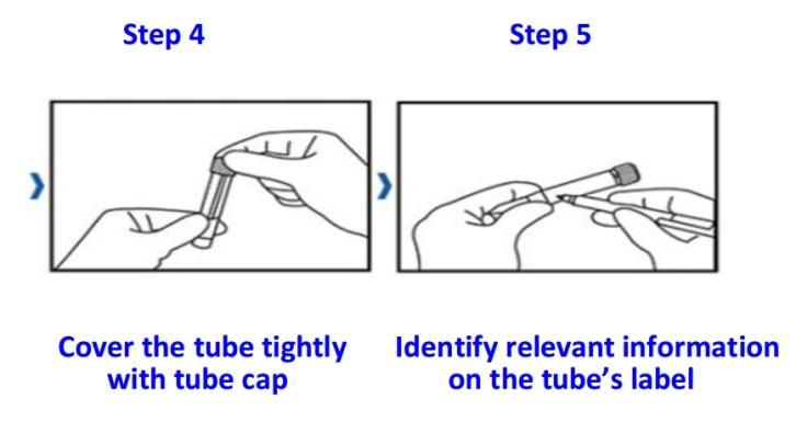 Collection Swab & Virus Sampling Tube /5ml Tube 2ml Storage Solution