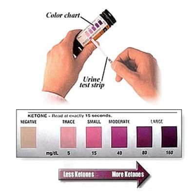 Ketone Test Strips/Ketosis Test Strips