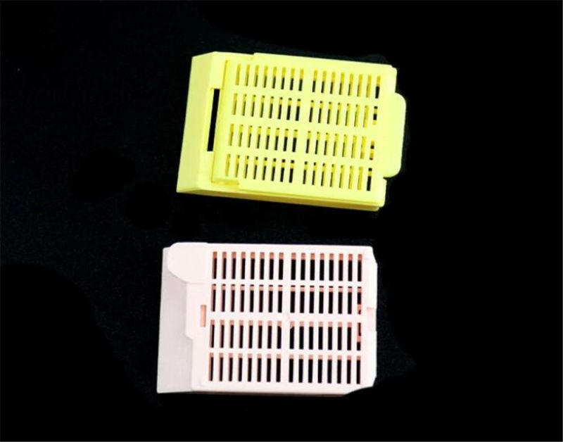 Laboratory Consumable Plastic Tissue Embedding Cassettes Tissue Cassette